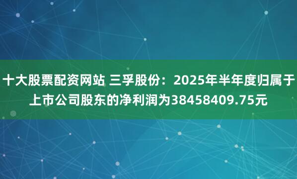 十大股票配资网站 三孚股份：2025年半年度归属于上市公司股东的净利润为38458409.75元