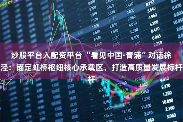 炒股平台入配资平台 “看见中国·青浦”对话徐泾:锚定虹桥枢纽核心承载区,打造高质量发展标杆